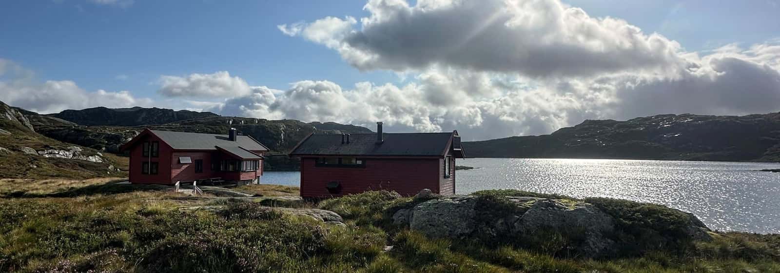 Huleboertur med DNT ung