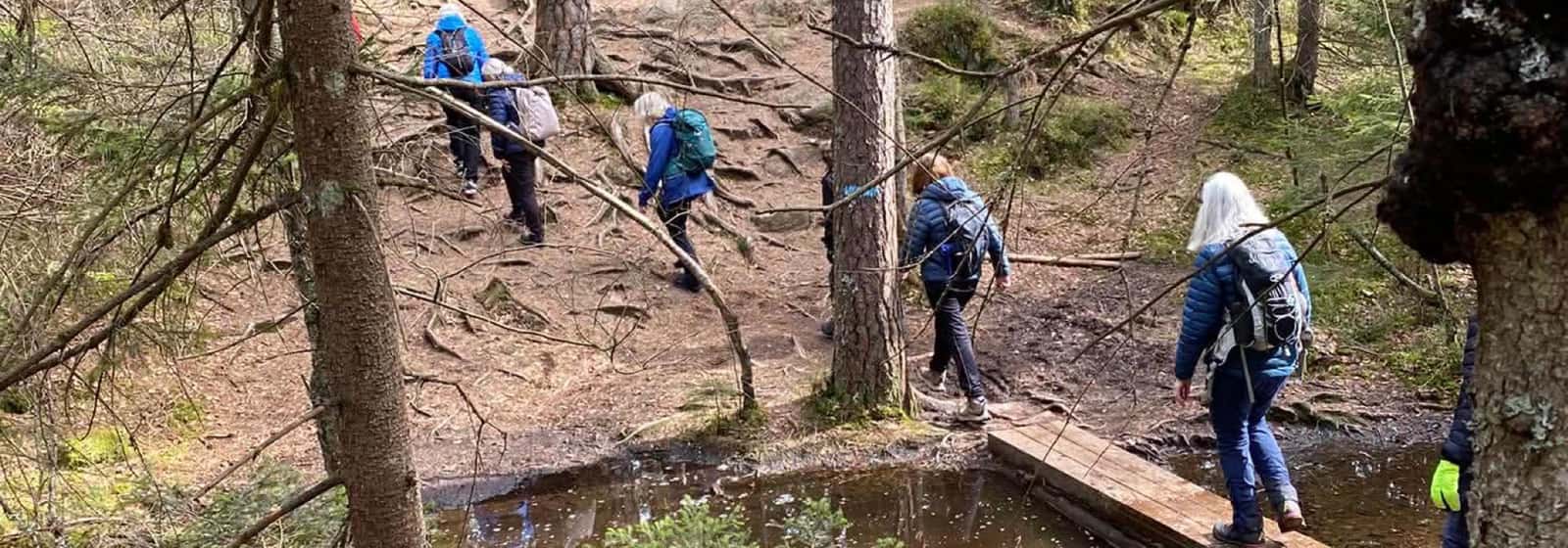 Nærtur fra Sognsvann
