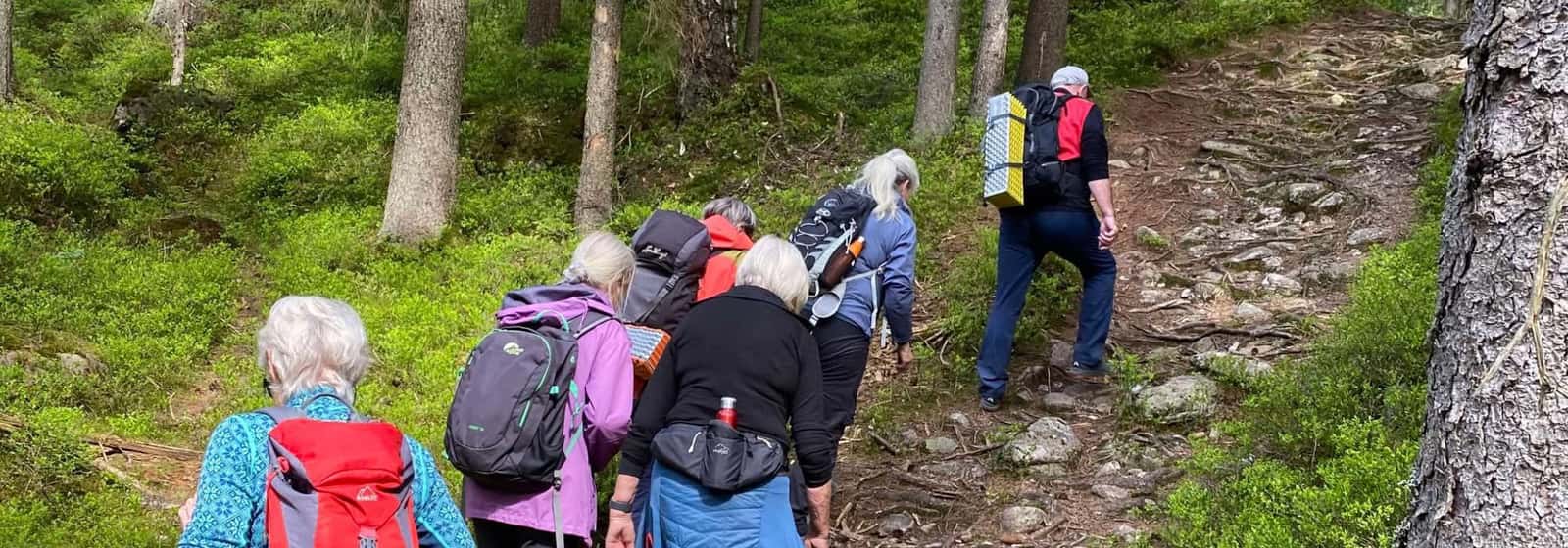 Nærtur fra Sognsvann