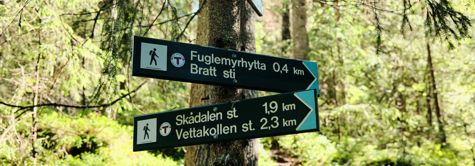 Nærtur fra Tonsenhagen
