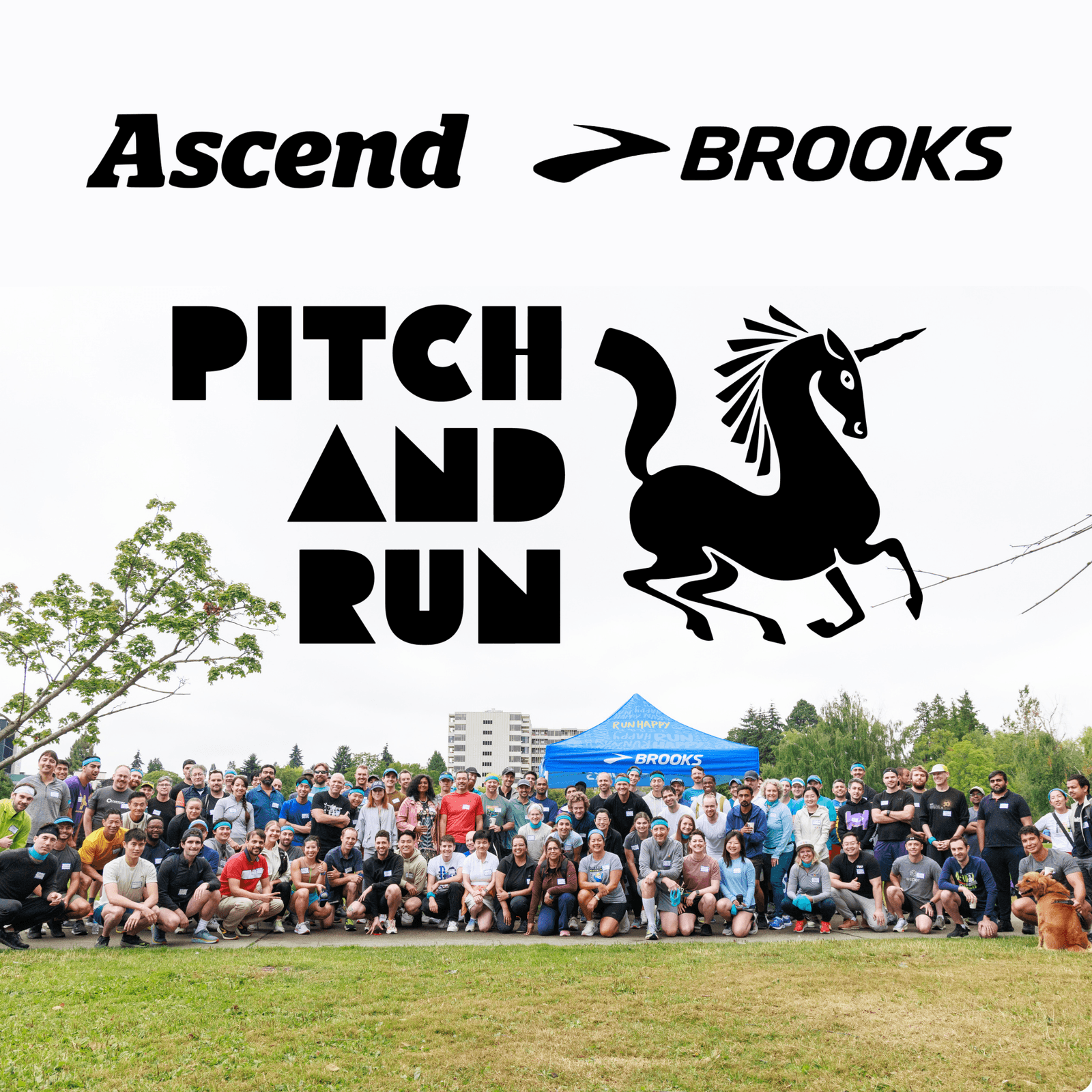 Pitch & Run | Ascend
