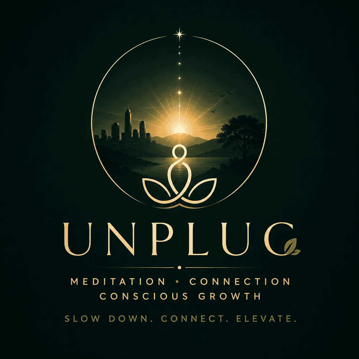 UNPLUG: Meditation, Meaningful Connection & Conscious Growth