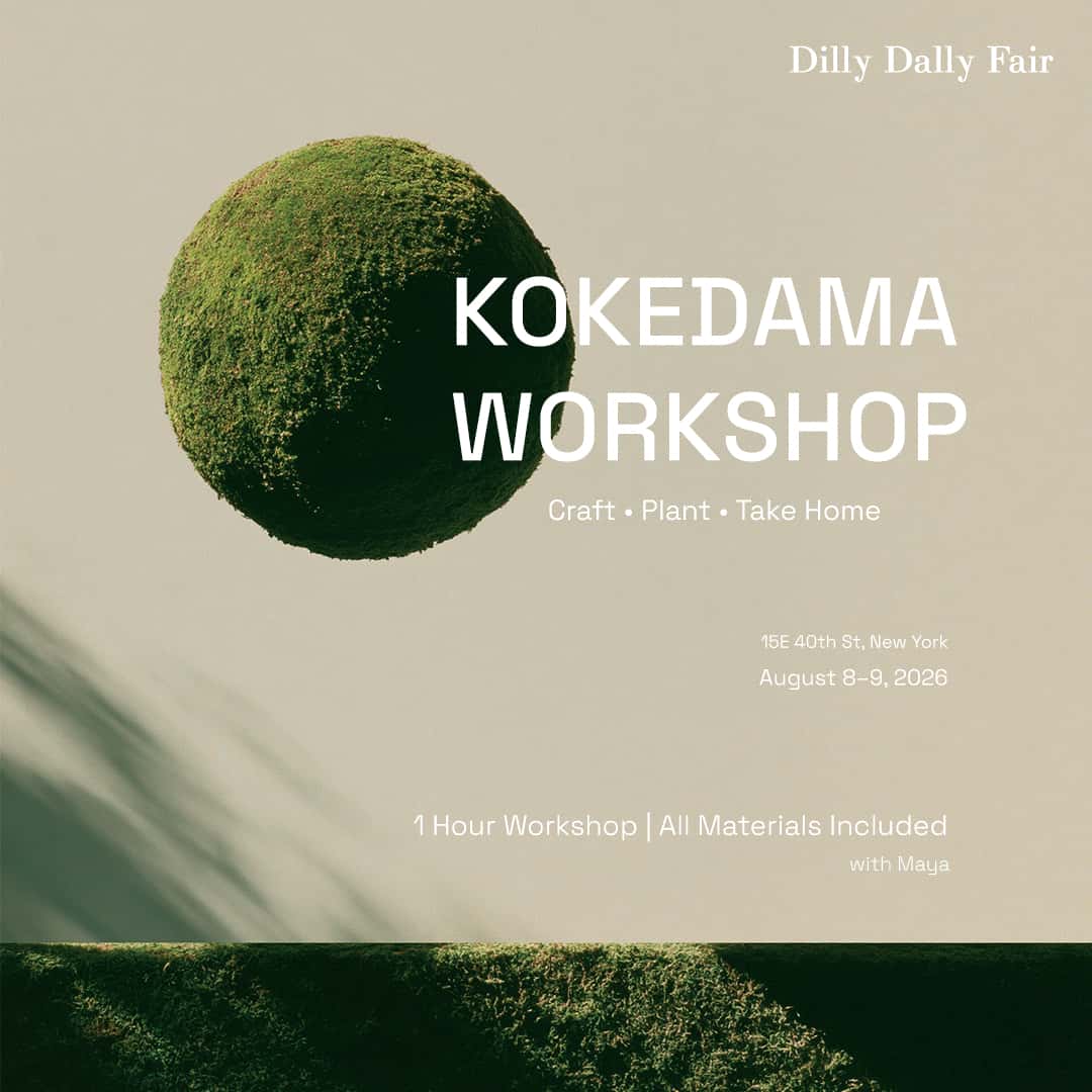 Kokedama Workshop 1 - Maya Li x Dilly Dally Fair