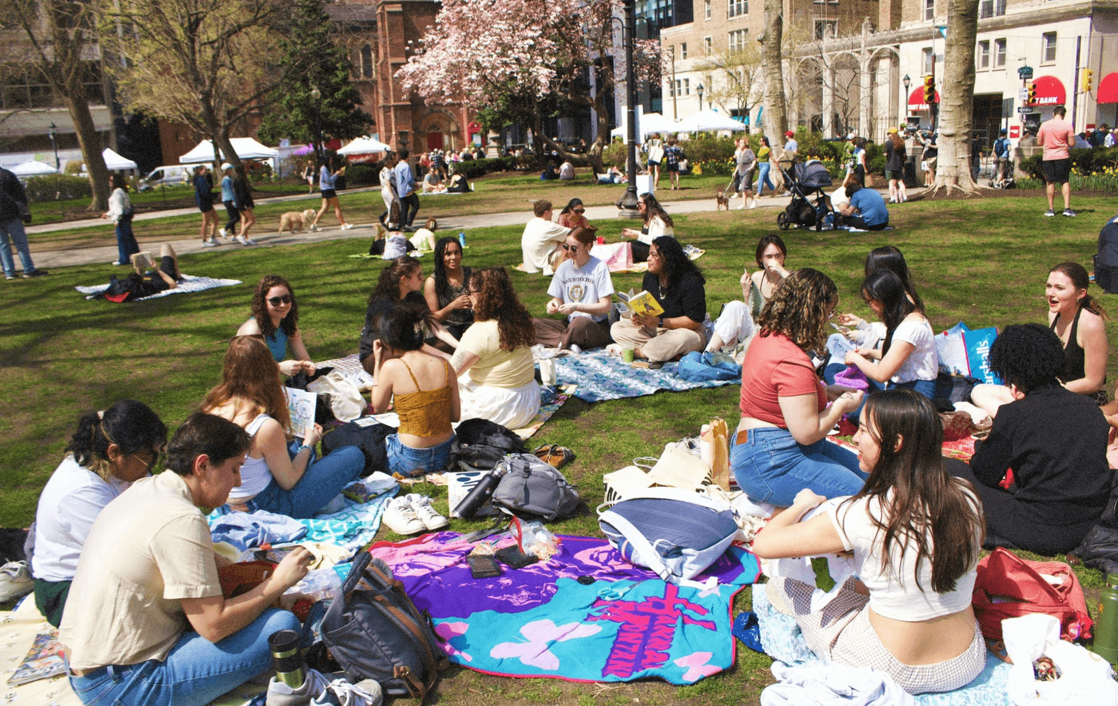 reading in the park w/ blue stoop