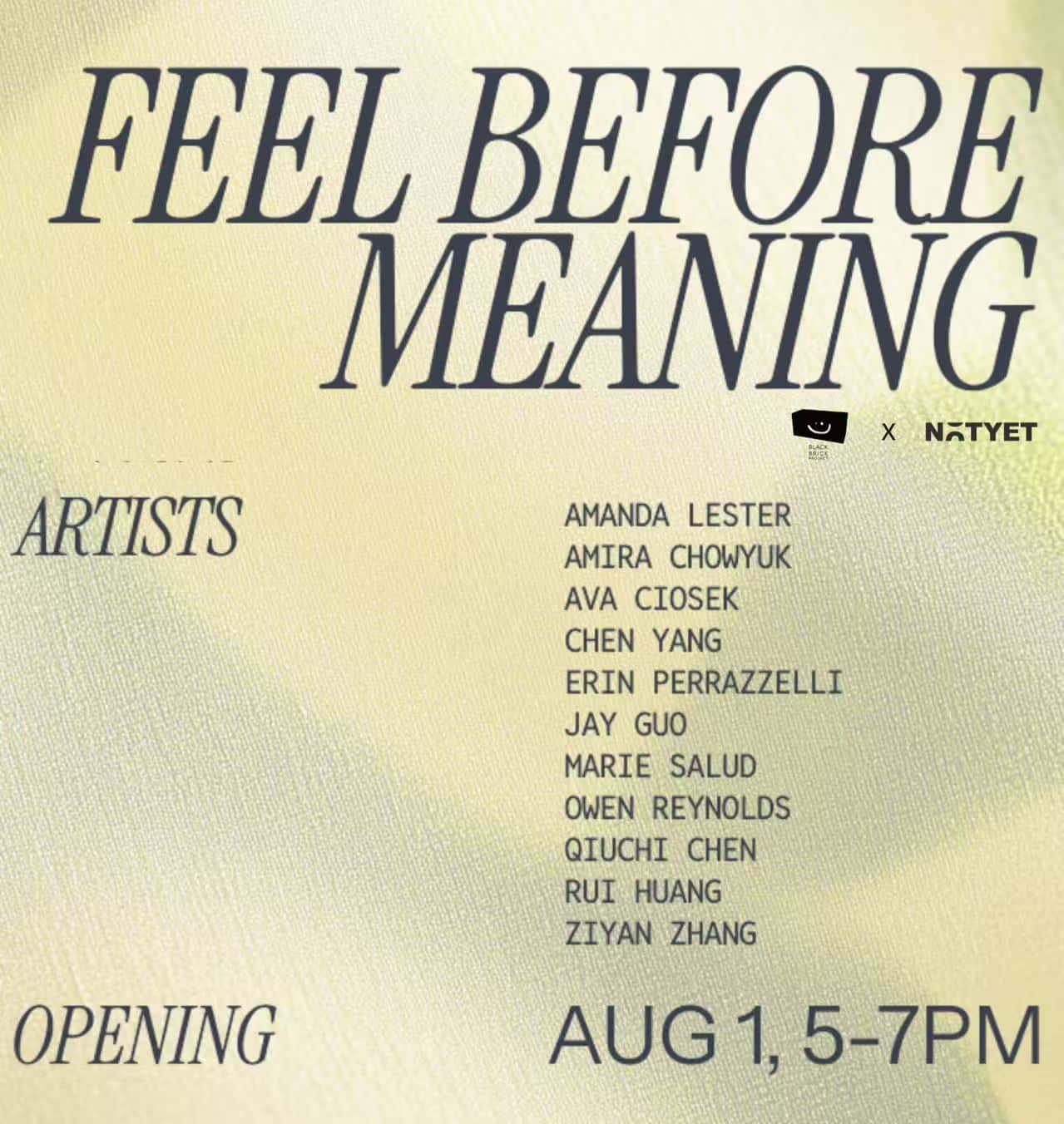 Art Exhibition Opening | Feel Before Meaning