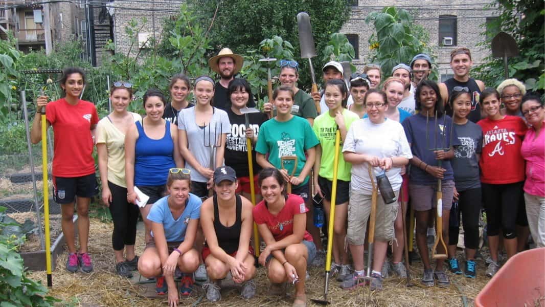 Urban Farm Volunteer Day: Ginkgo Organic Gardens in Uptown