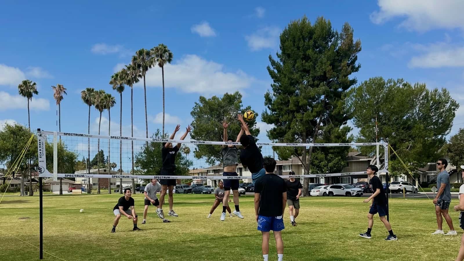 TUE @ 5:30pm Buena Park Grass Volleyball (Intermediate)