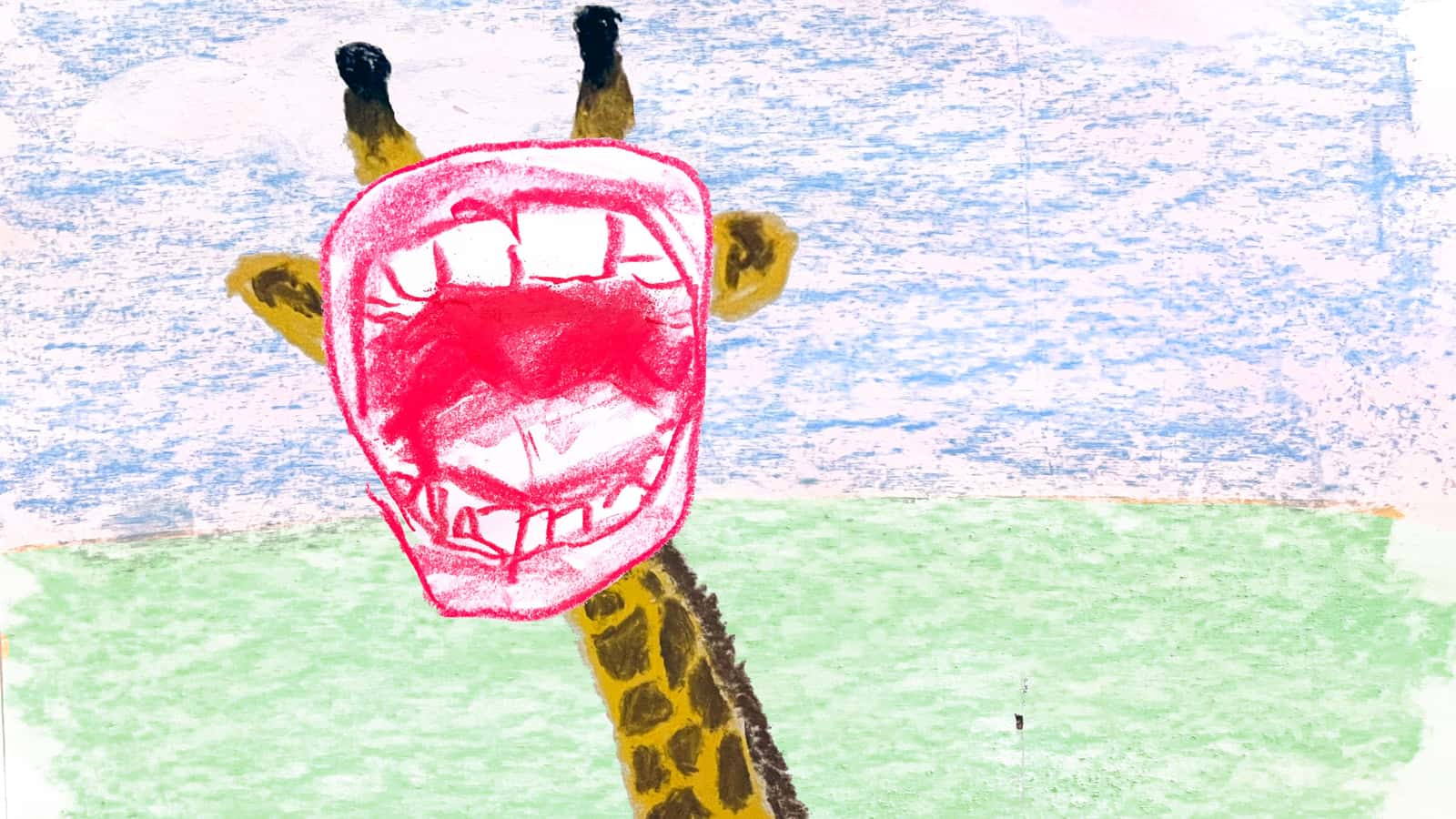 Yes & Everything: Zoo!