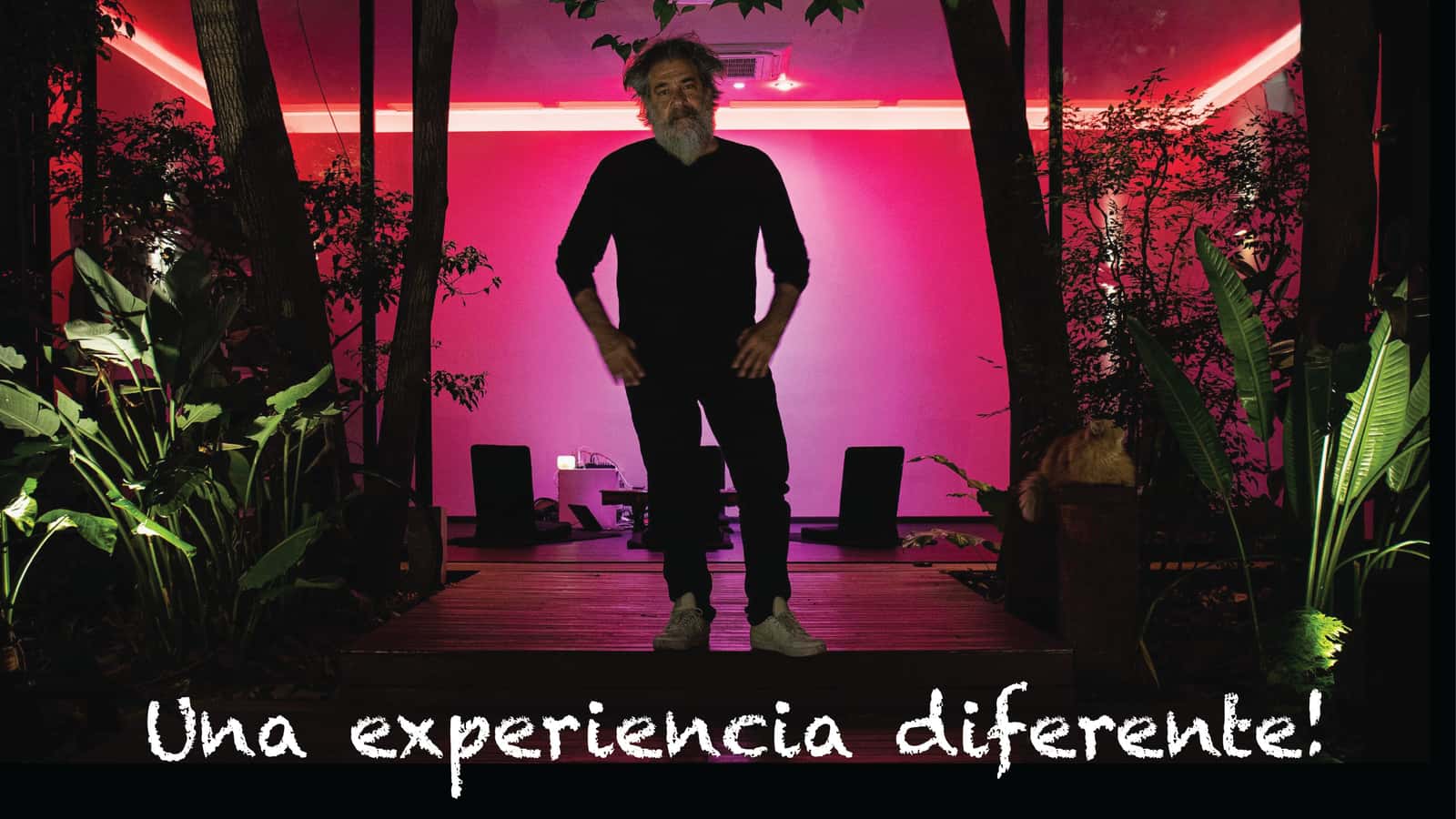 IN-PERSON MEDITATION IN SAN TELMO Dr. Daniel Forster- Physician