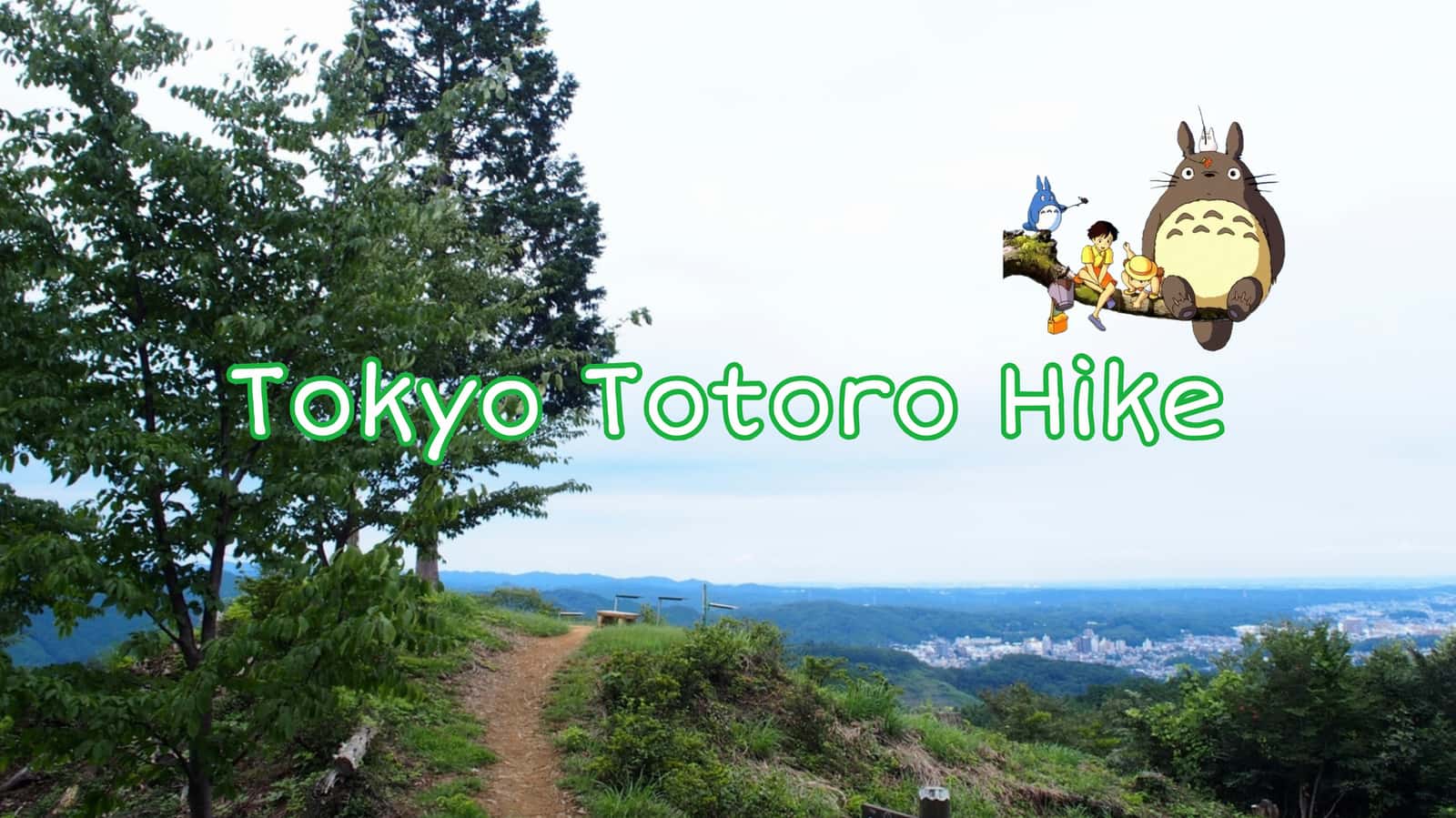 🌳🌸Tokyo Totoro Hike: Meet New Friends🤝🏞️