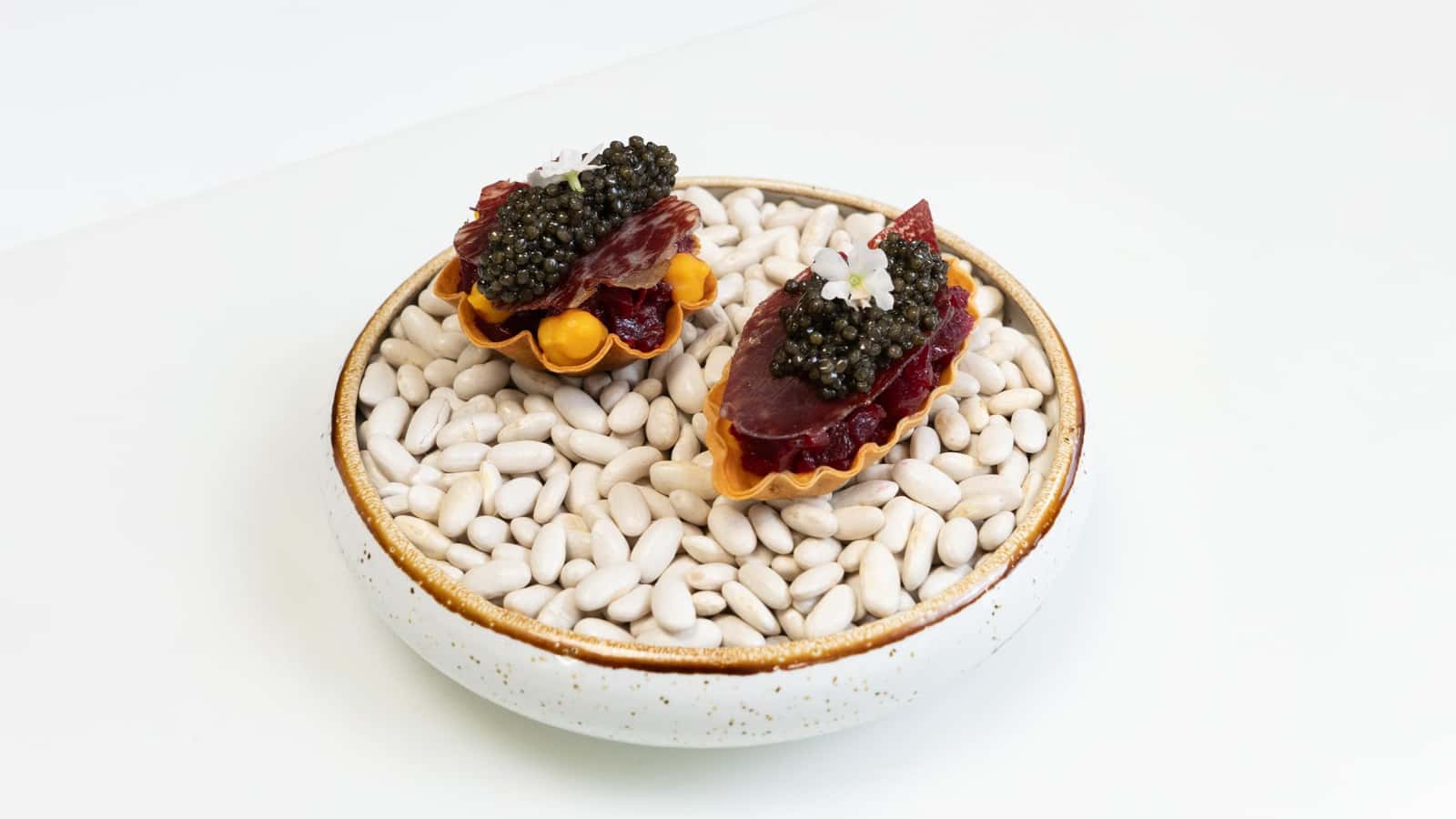 Gastronomy Dinner for Everyone!