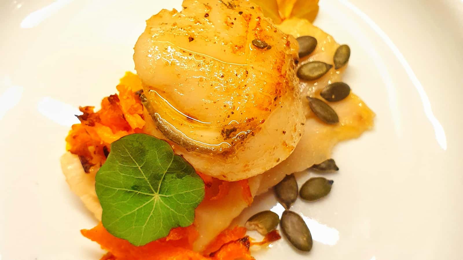 Gastronomy Dinner for Everyone!