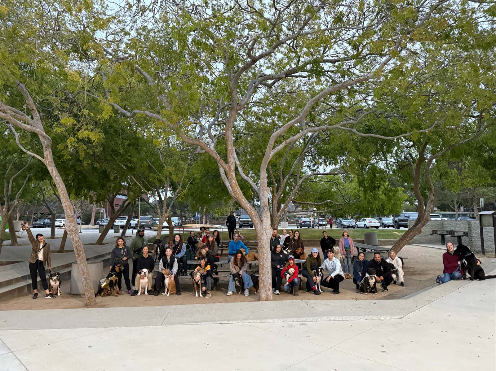 Santa Monica/Clover Park Pack Walk