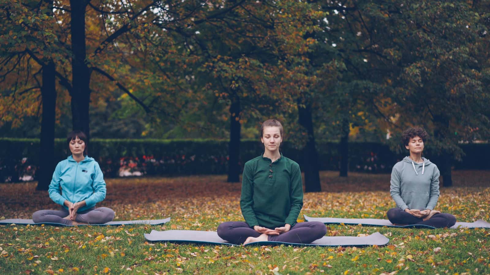 🌳 Sesión Meditación (Gratis)