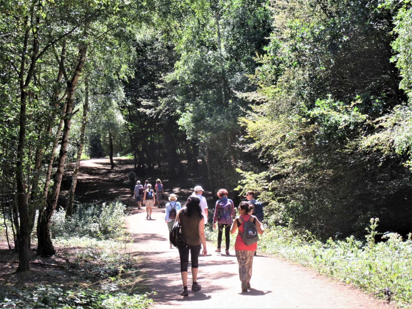 Pulborough River & Woodland Circular