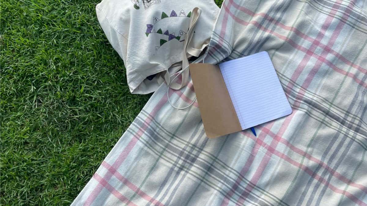 Picnic and journaling with poetry: A Mary Oliver special