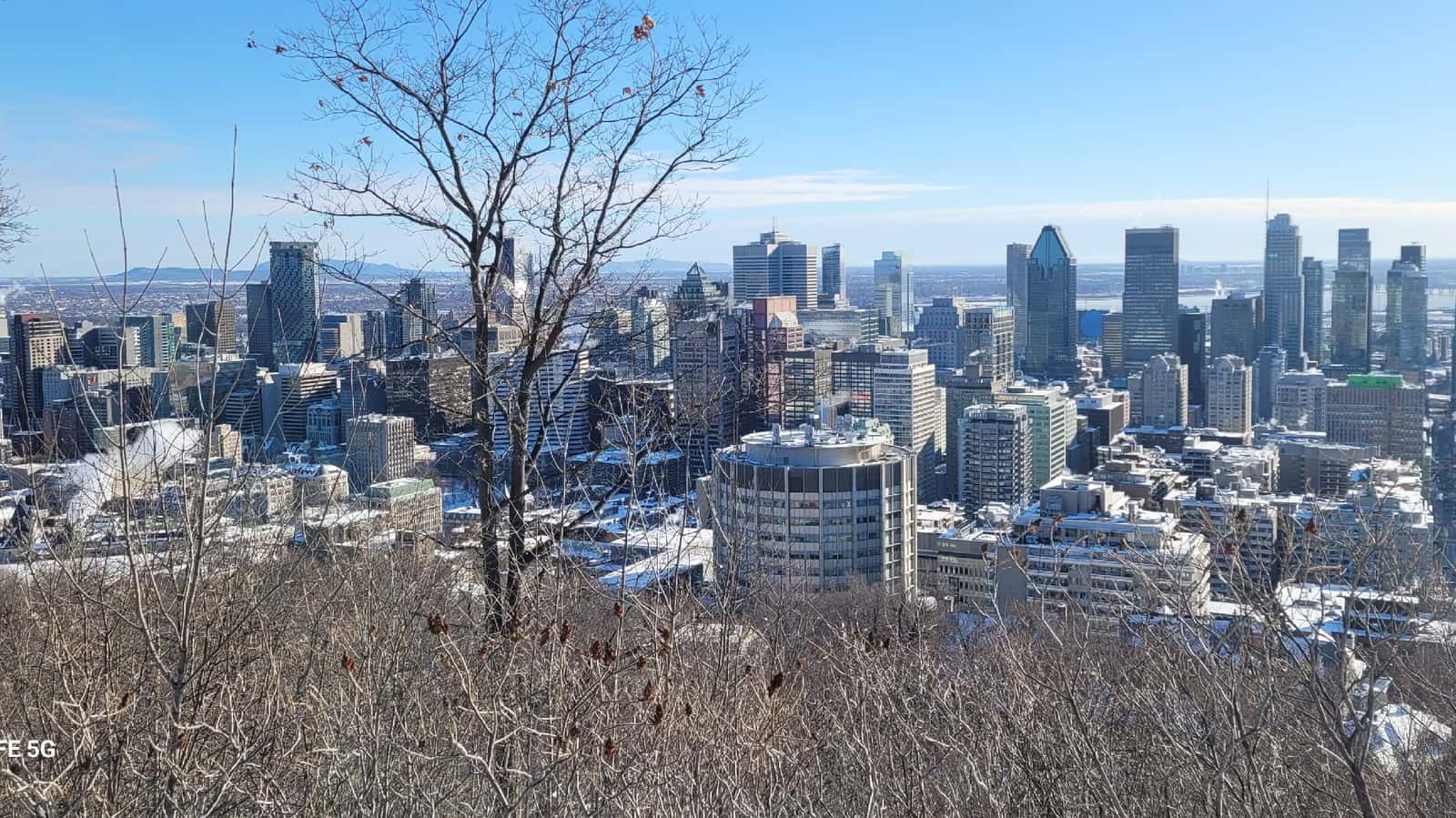 Marche sur le Mt Royal - Mt Royal Walk