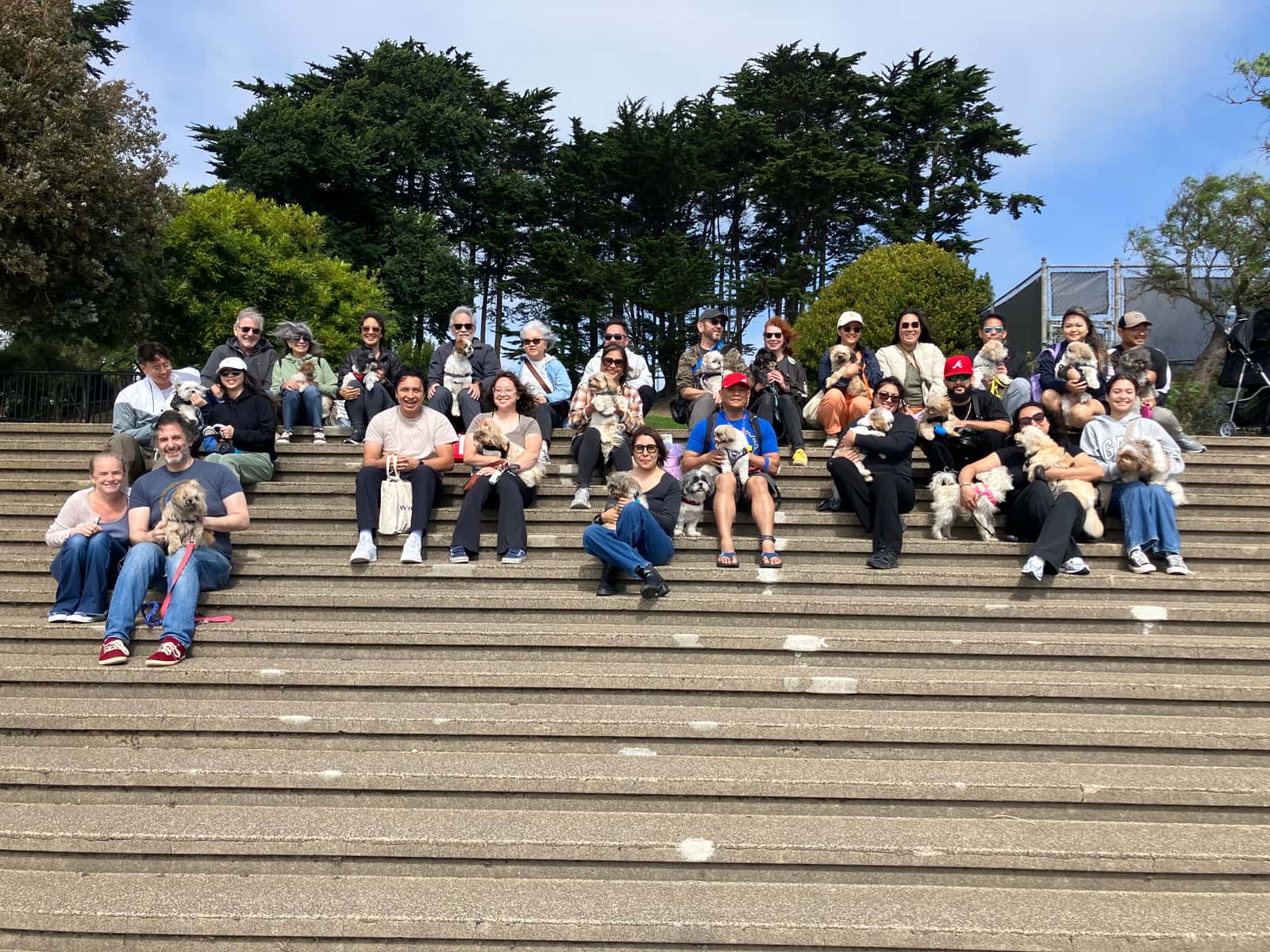 The San Francisco Shih Tzu Meetup Group Monthly Meetup