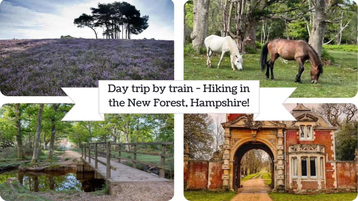 Day trip by train - Hiking in the New Forest, Hampshire!