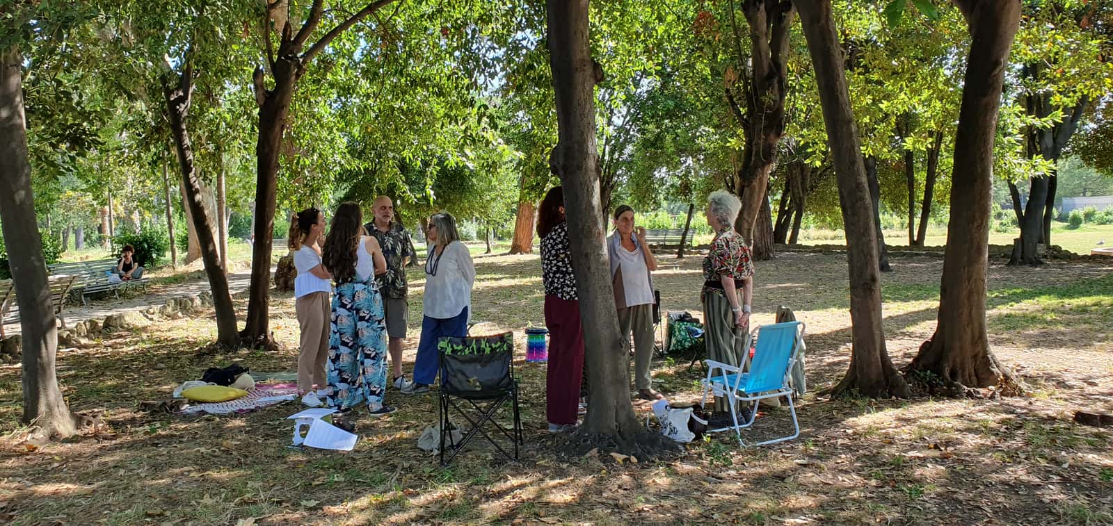 Meditation at the Park