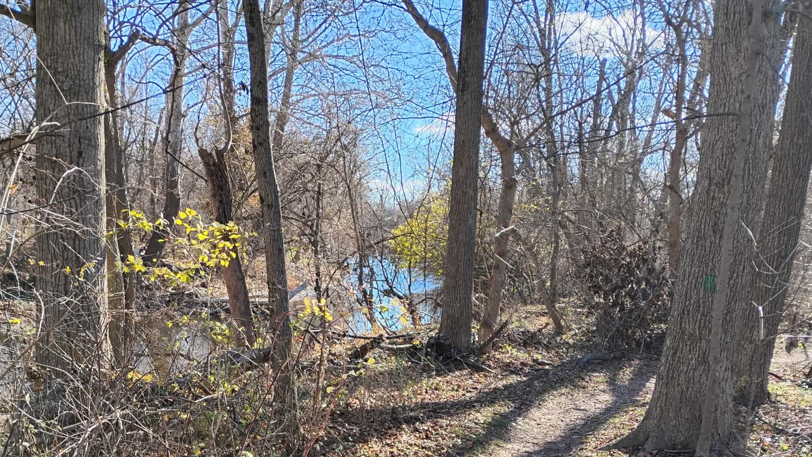 Hike the Green Ribbon Trail from Fort Washington State Park (6 miles)