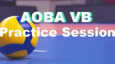 8/6 [6pm-9pm] Practice session Volleyball-game @Minato-ward