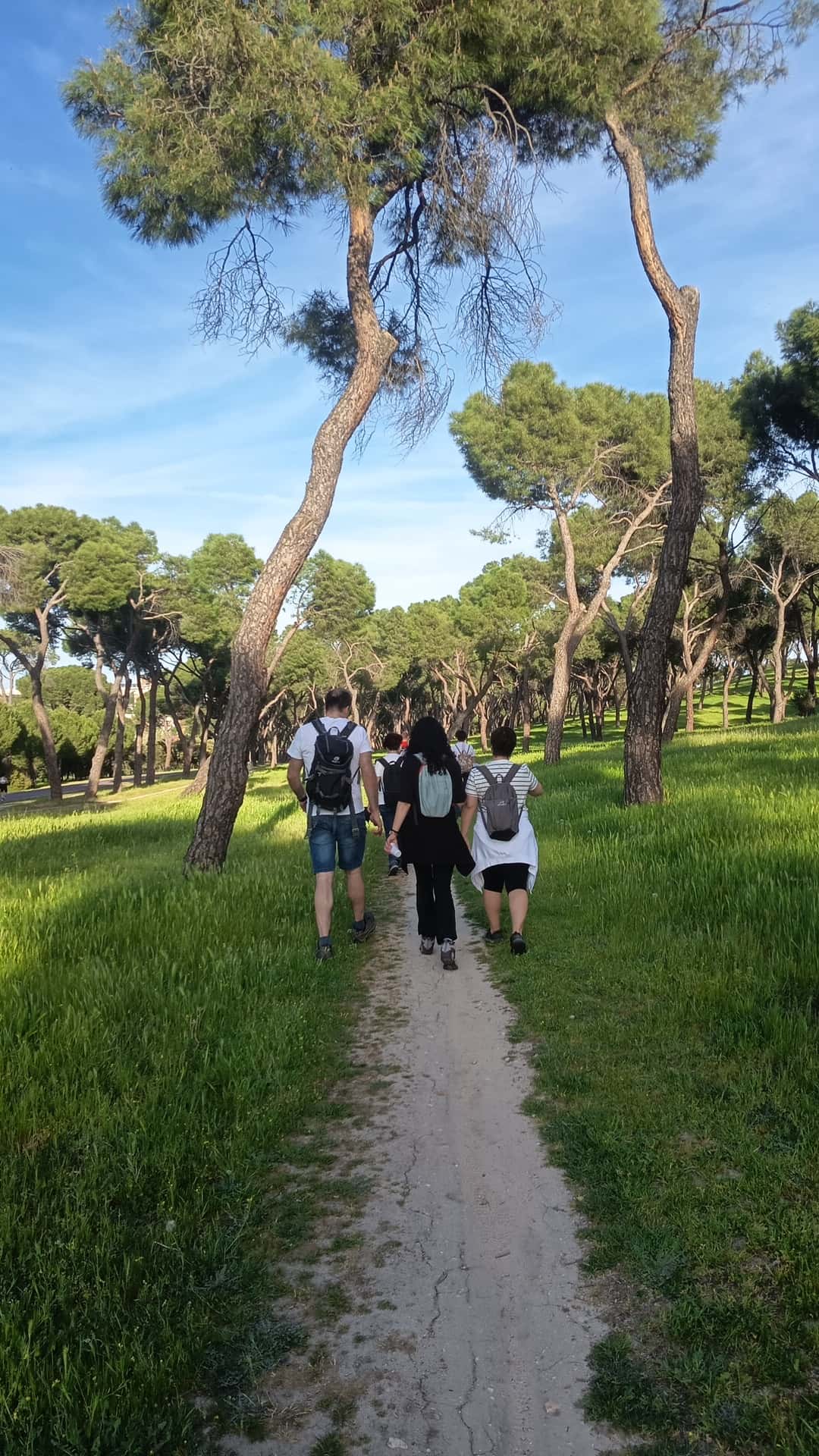 Viernes 31/07 🥾Senderismo atardecer en la Casa de Campo: Ruta+ conocer gente🌅