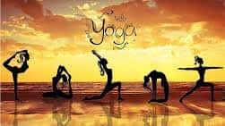In Person: Beginner Yoga with Kirstin H.