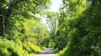 Lorimer Park and Fox Chase Farm (4 miles)