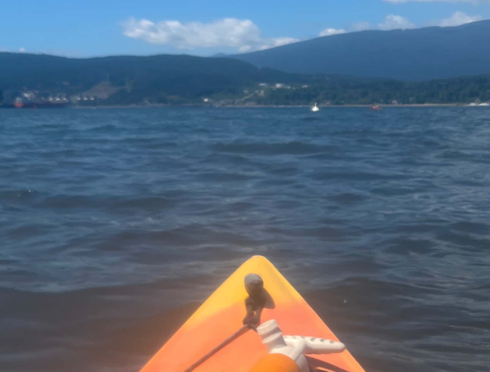 Kayak & Bites After Hours