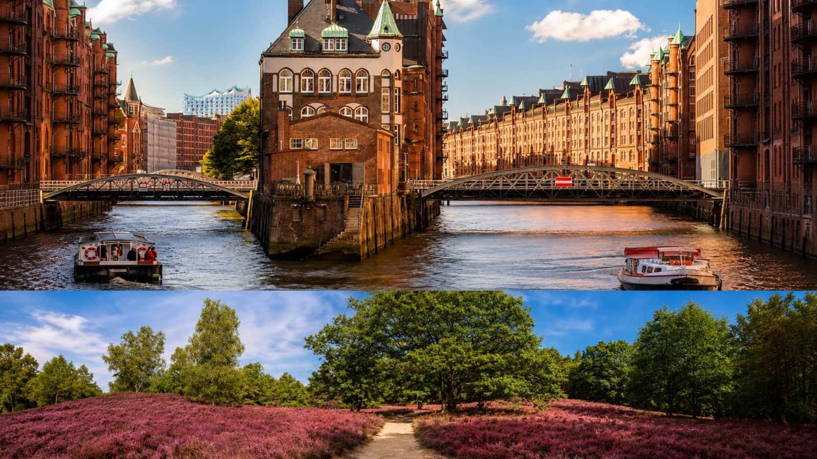 Hamburg + Fischbeker Heide ⚓🏘️ 🌿🌲 (2 Days Trip 🎉 from Berlin)