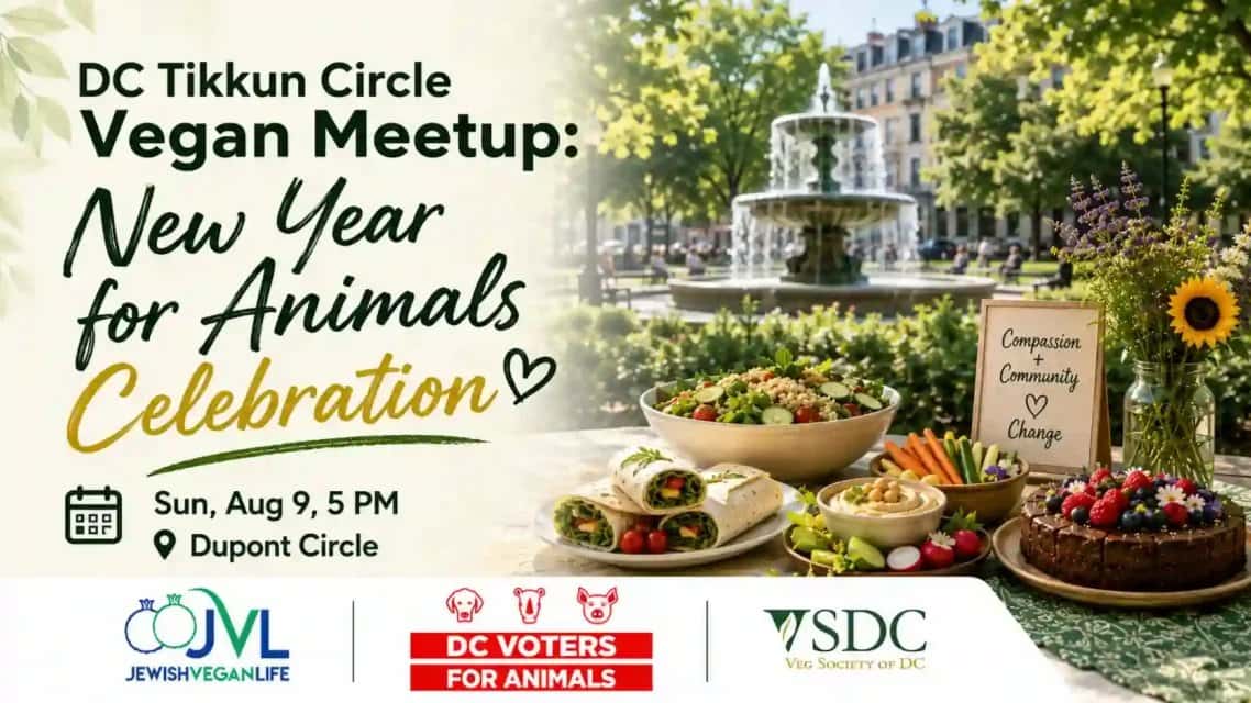 VSDC Joins Jewish Vegan Life for Dinner