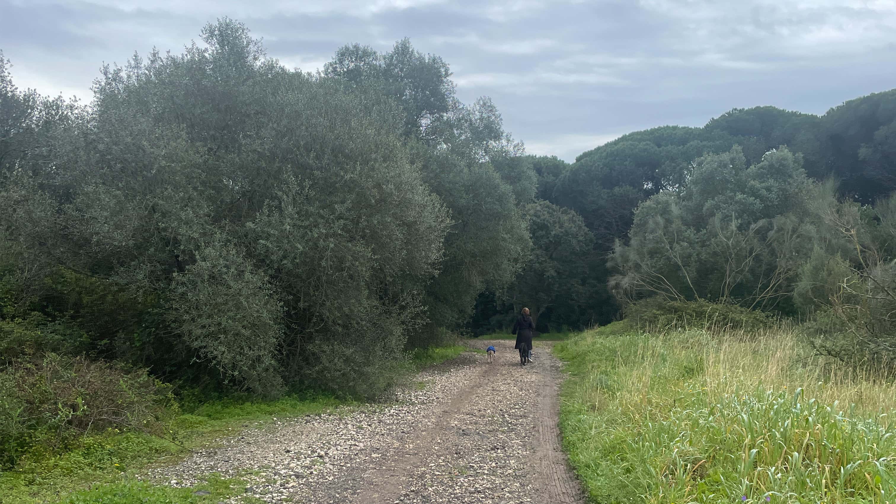 Morning walk #64: Ajuda to Monsanto