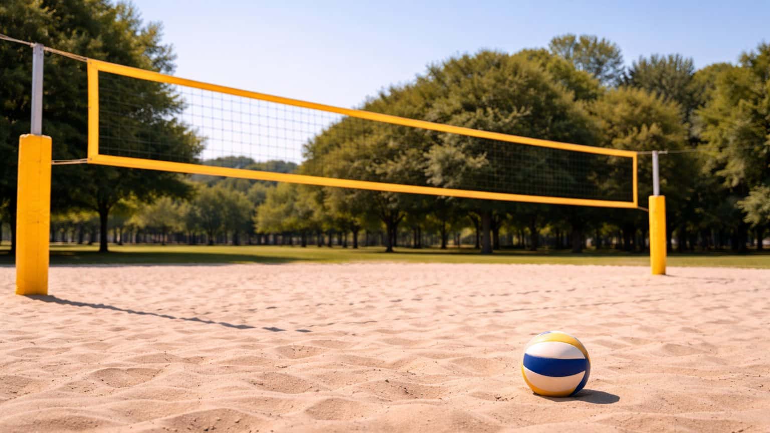 Grass Volleyball (beginner friendly)