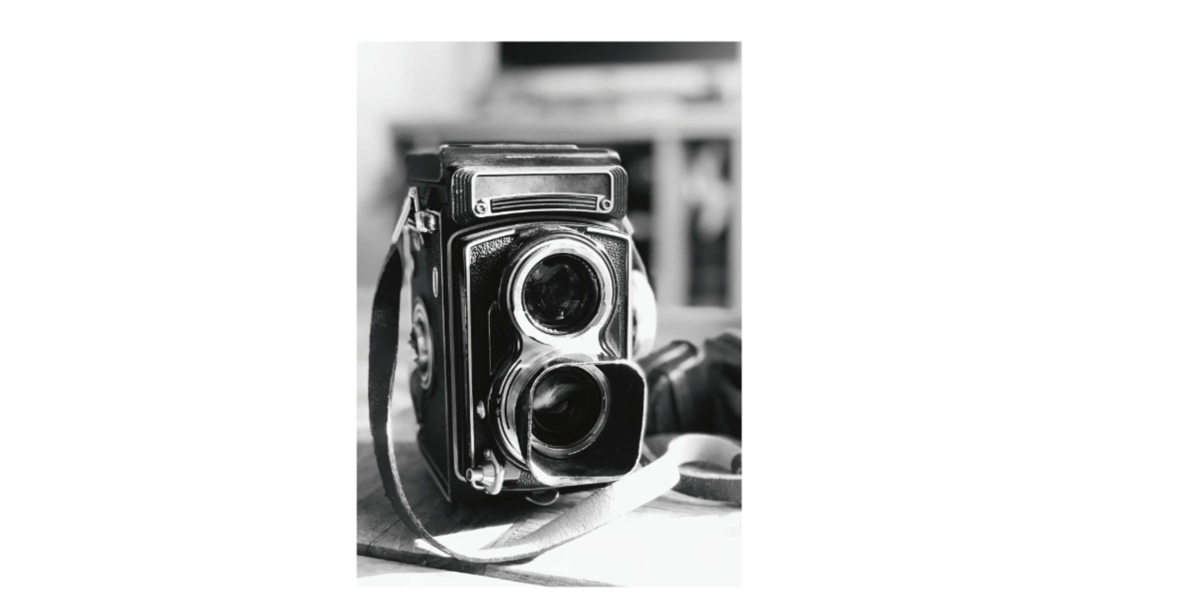 Workshop: Intro to Photography
