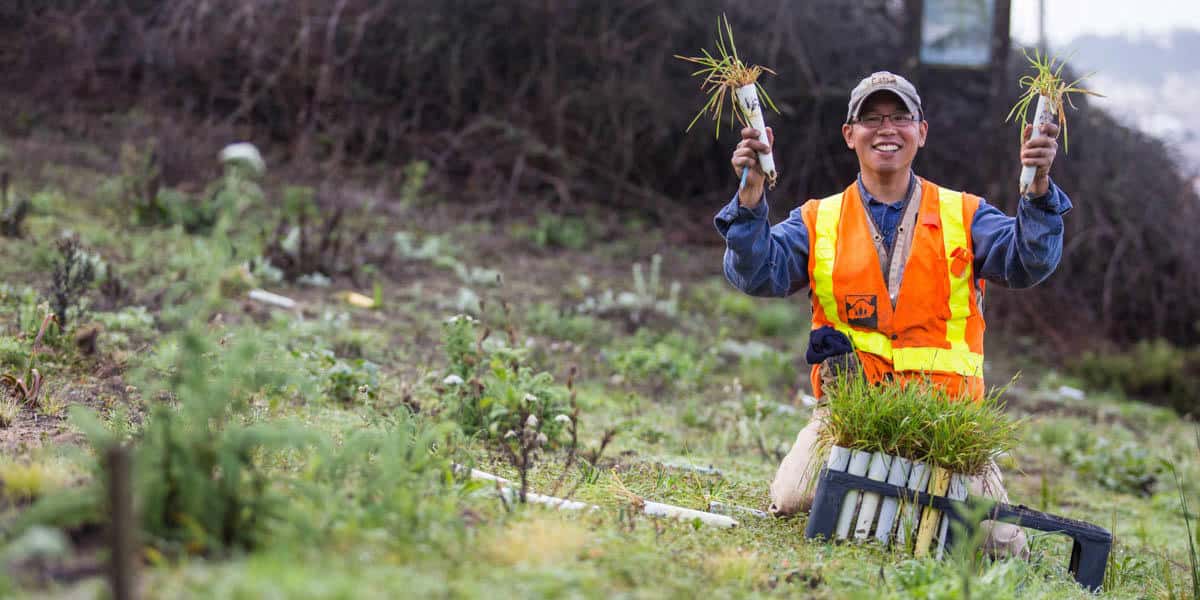 Volunteer: Presidio Habitat Stewards (Every 3rd Wednesday)