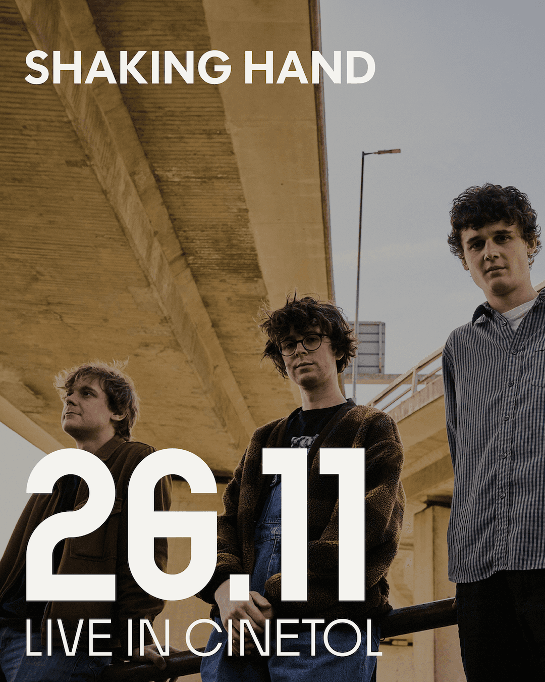 Shaking Hand