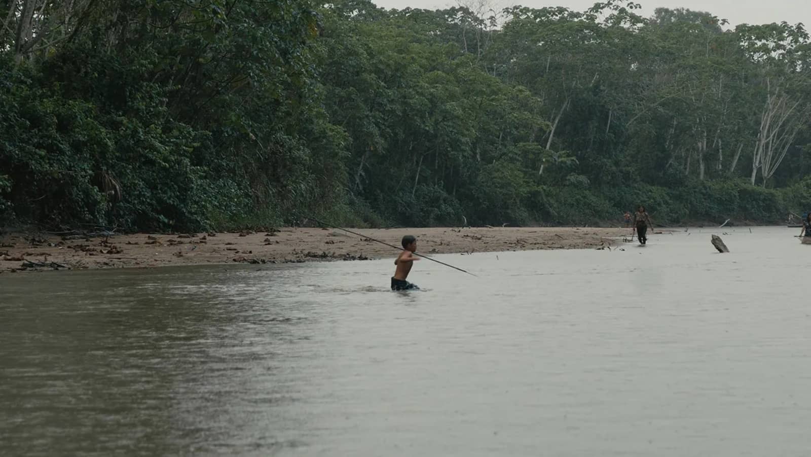 FINCA | Toroboro: el nombre de las plantas