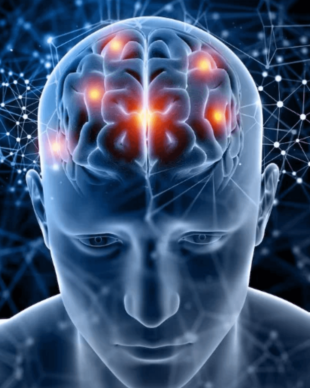 Neurociencia para todos