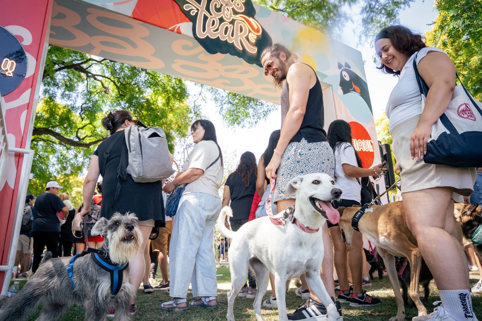 Festival Mascotear