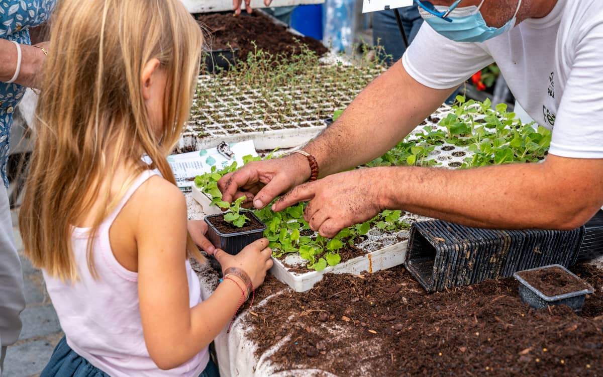 Fête des jardins : le 19e célèbre la nature en ville !