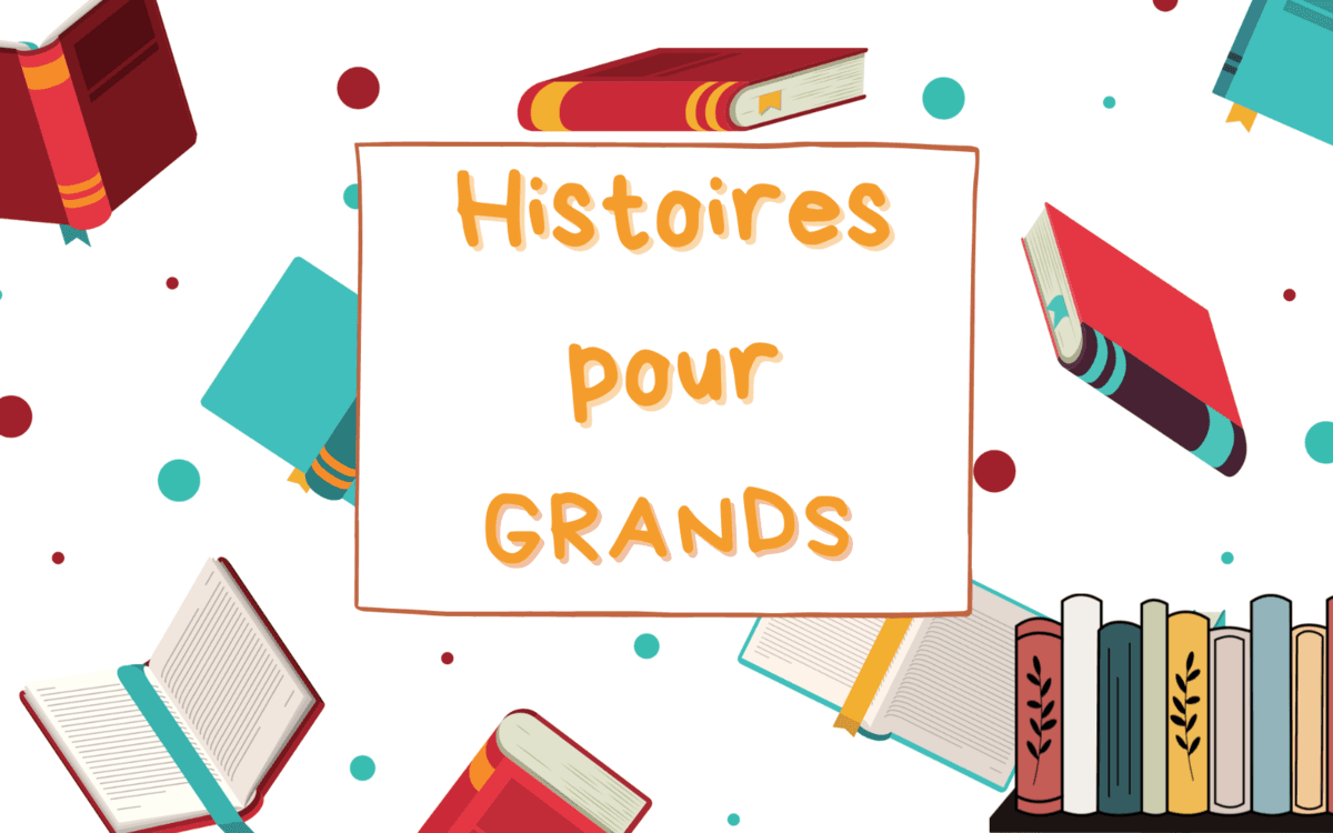 Histoires pour grands