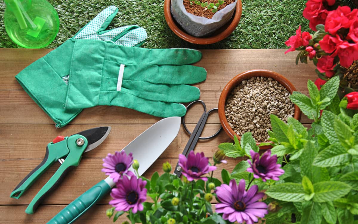 Troc au jardin
