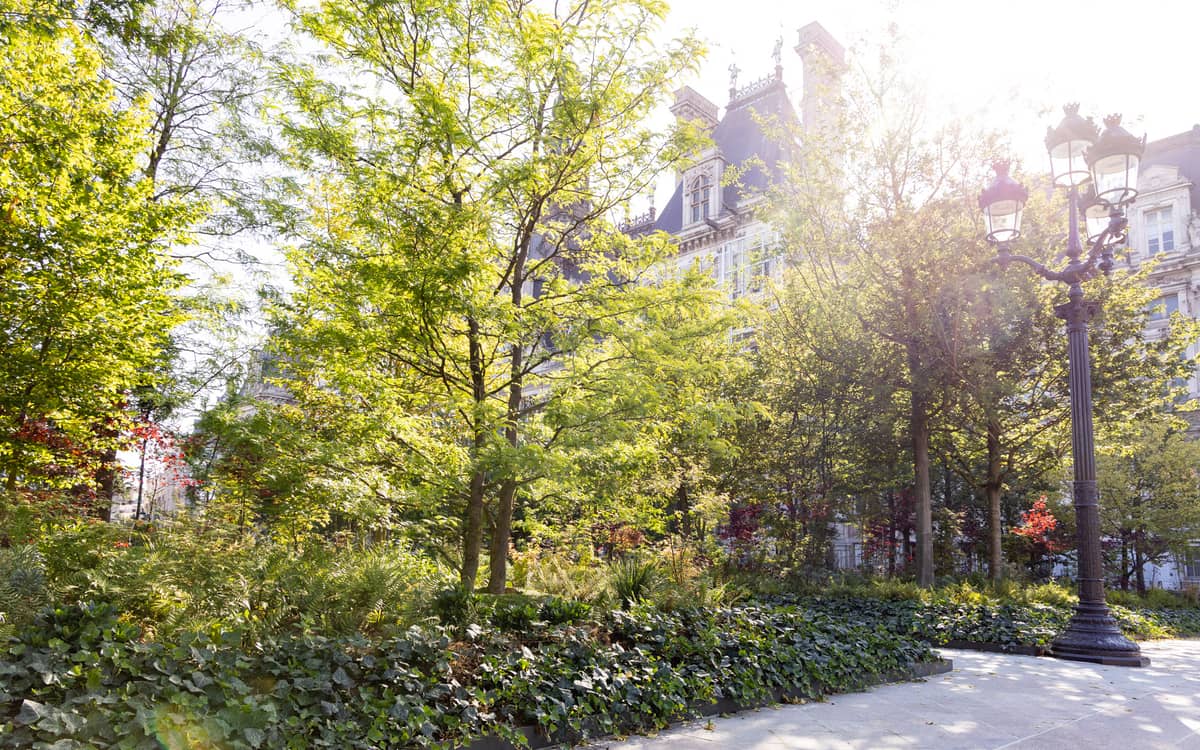 Les transformations végétales du Paris historique