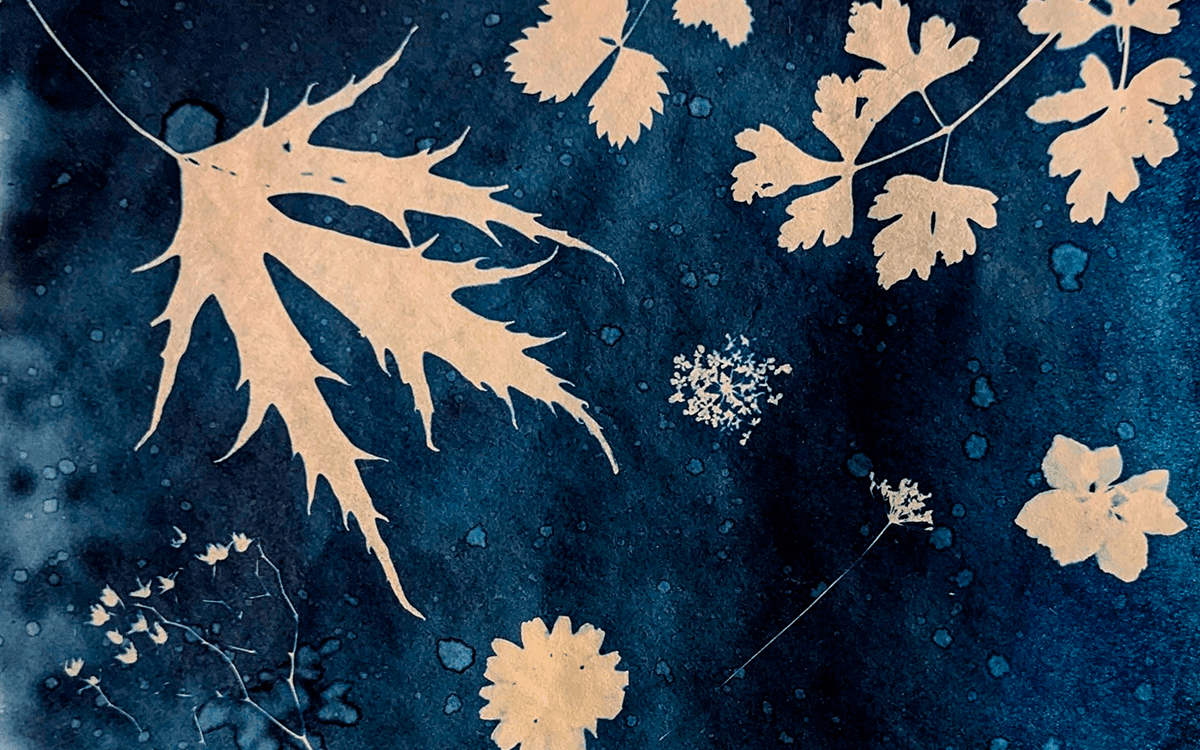 Atelier de cyanotype samedi 26 septembre 14 h 30, Paris 20