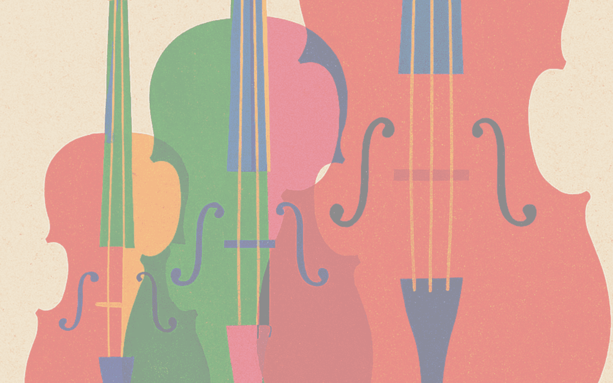 Audition de classe : Le son des cordes