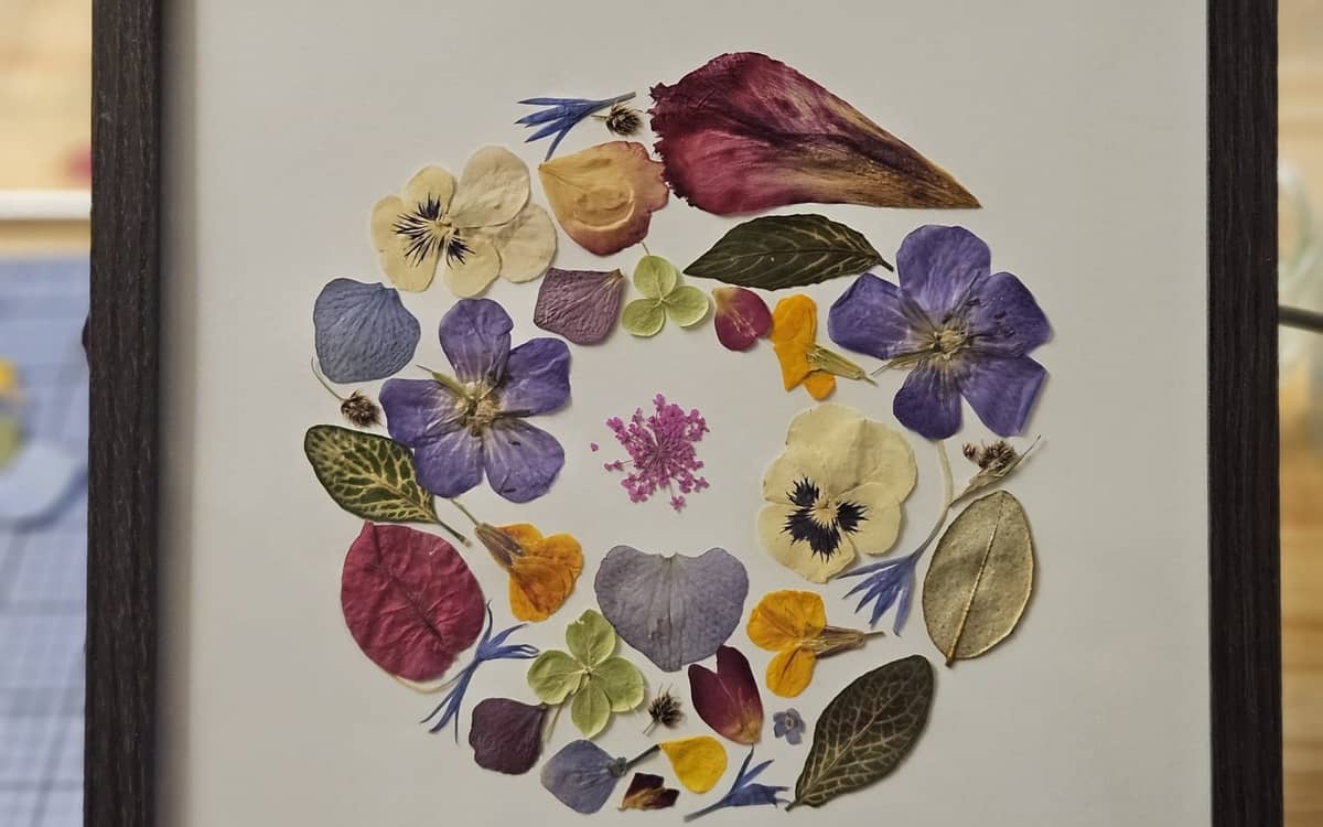 Atelier herbier encadré avec Graines de botaniste