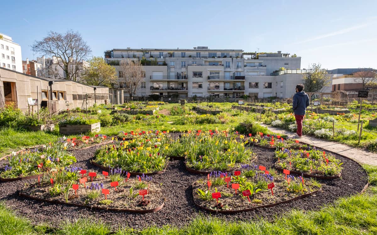 Les activités du Paysan Urbain Paris : le Programme de Septembre 2026