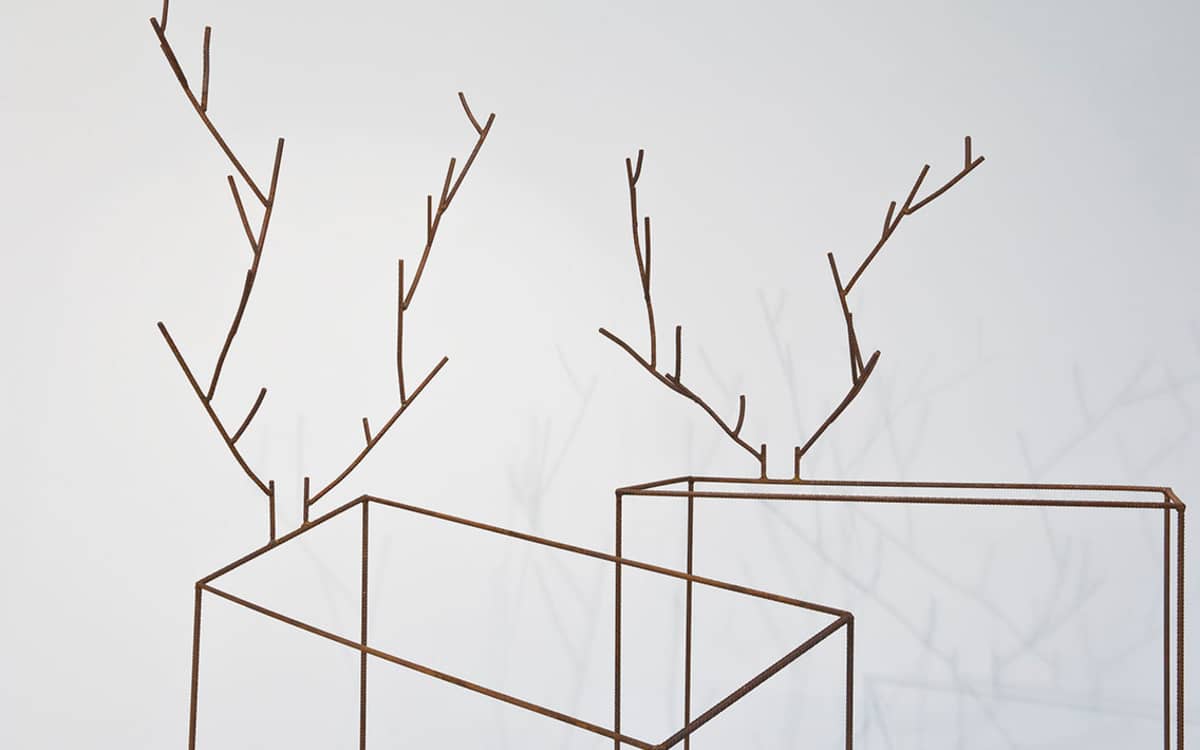 Découvrez l'exposition « Éloge du trait » dans la collection agnès b.