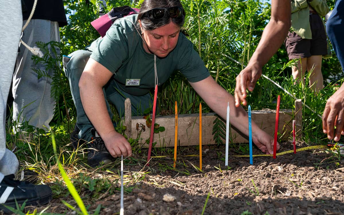 Chantier participatif à la Ferme de Paris